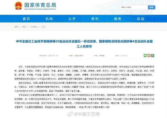 为国内运动