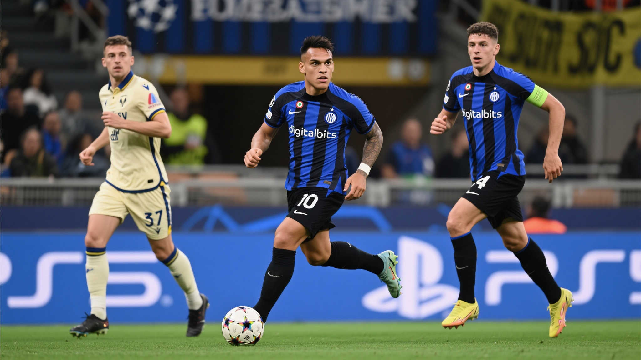 仅反映了国 仅反映了国